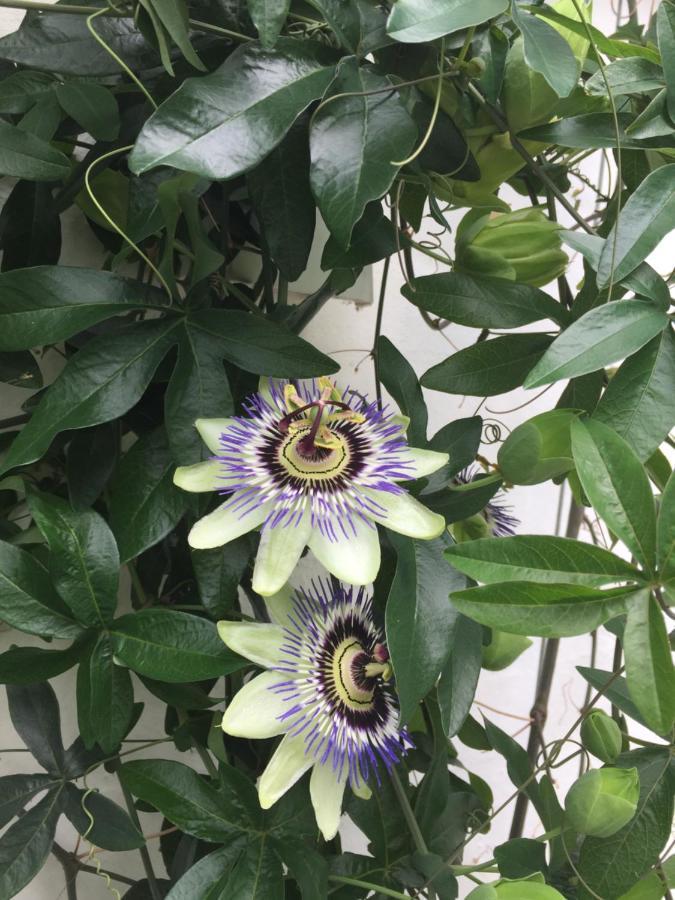 Revninge Guesthouse 外观 照片